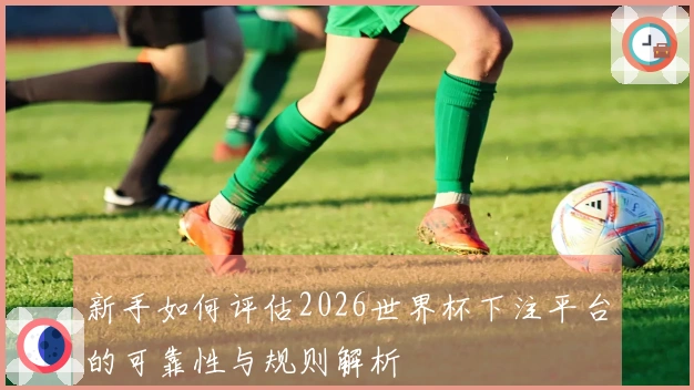 新手如何评估2026世界杯下注平台的可靠性与规则解析