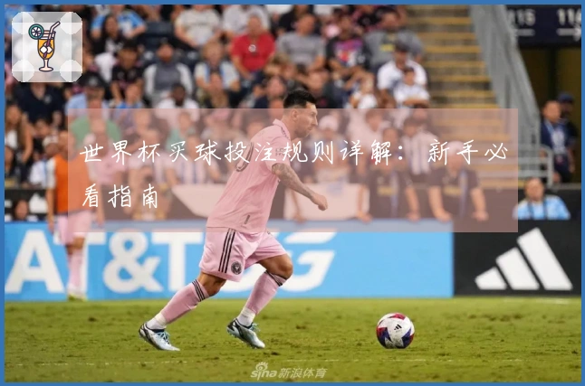世界杯买球投注规则详解：新手必看指南