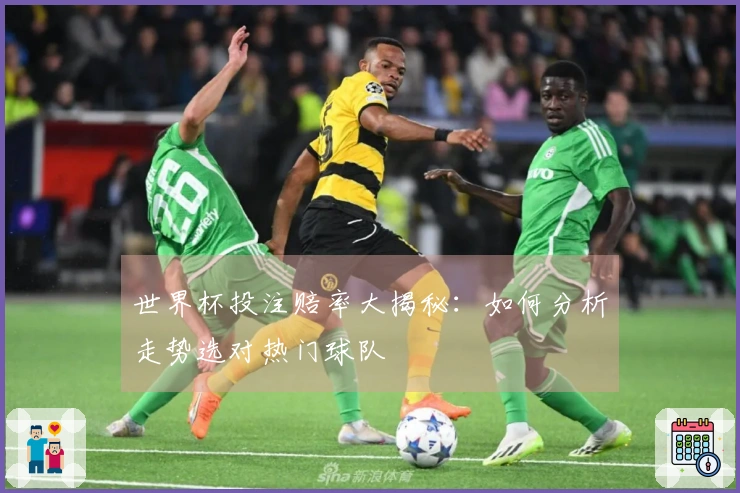 世界杯投注赔率大揭秘：如何分析走势选对热门球队