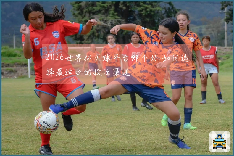2026世界杯买球平台哪个好 如何选择最适合的投注渠道