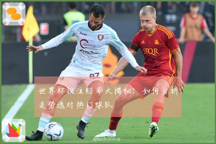 世界杯投注赔率大揭秘：如何分析走势选对热门球队