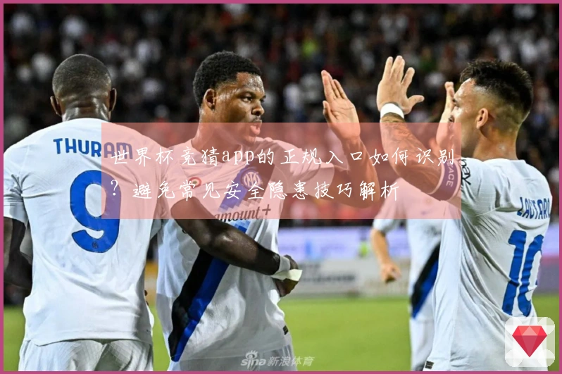 世界杯竞猜app的正规入口如何识别？避免常见安全隐患技巧解析