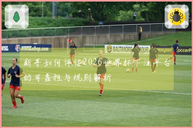 新手如何评估2026世界杯下注平台的可靠性与规则解析
