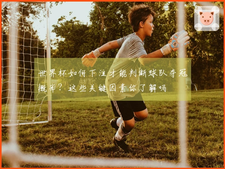 世界杯如何下注才能判断球队夺冠概率？这些关键因素你了解吗