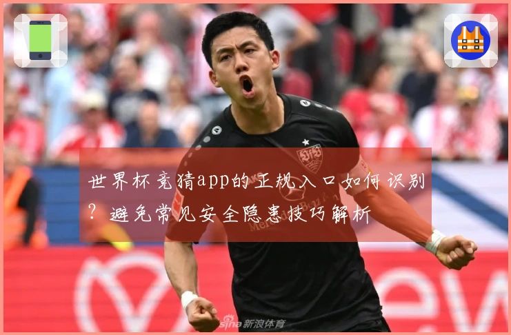 世界杯竞猜app的正规入口如何识别？避免常见安全隐患技巧解析