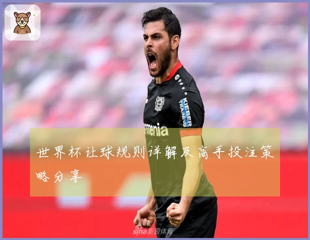 世界杯让球规则详解及高手投注策略分享